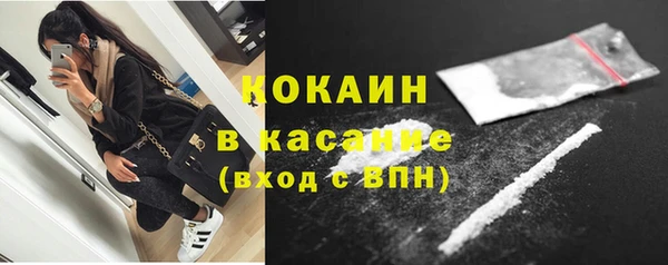 крисы Алексин