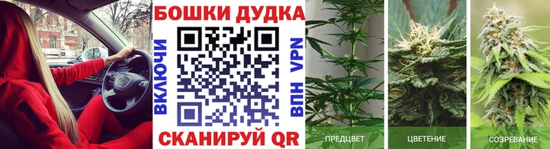 МАРИХУАНА ГИДРОПОН  Бакал 